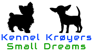 Kennel Krøyers Small Dreams